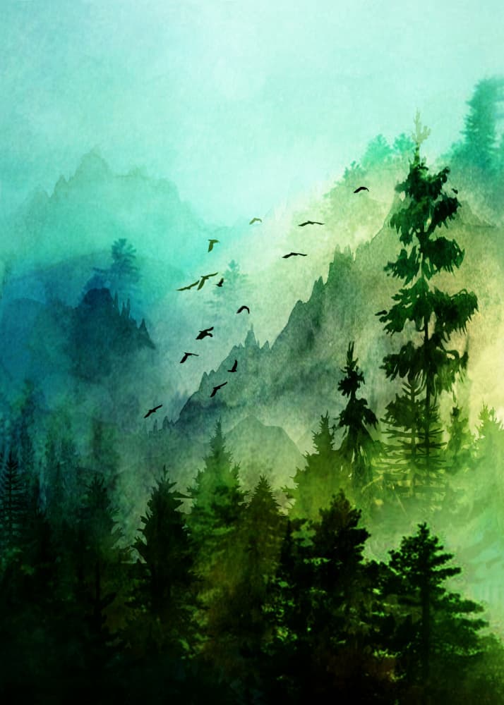 Misty Mountain Flight by Nadjaa — canvas wall art