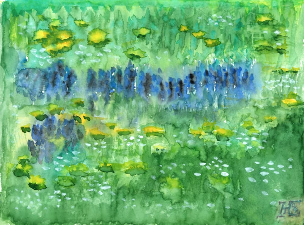 Tranquil Lily Pond by Tim Hoinkis — canvas wall art