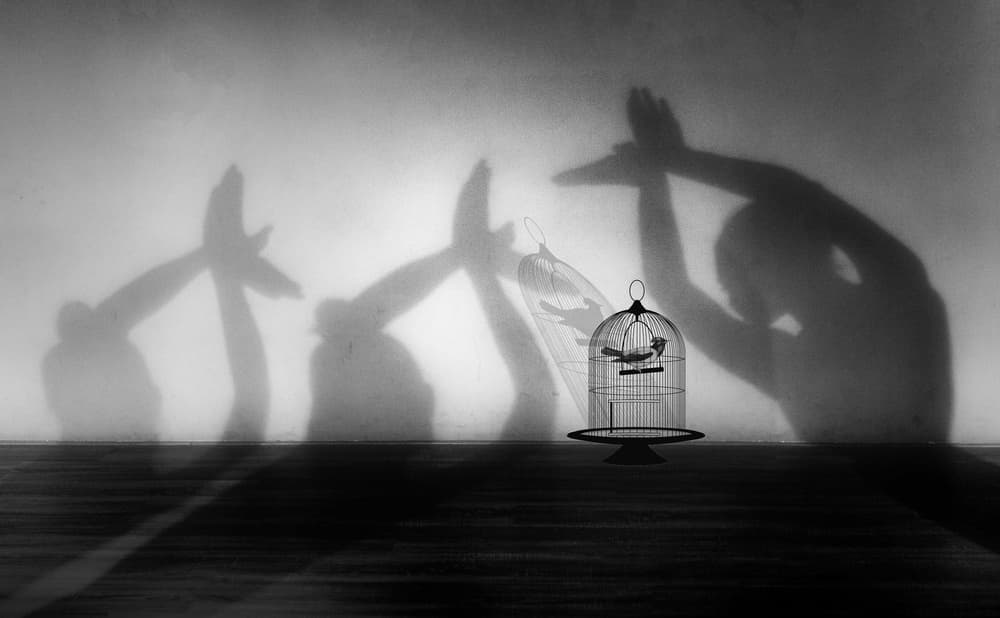 Caged Bird Shadow Flight by Nguyen Tan Tuan — canvas wall art