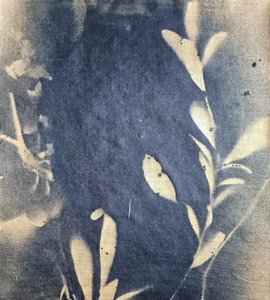 Indigo Leaf Impressions by Stefano Mazzolini — canvas wall art
