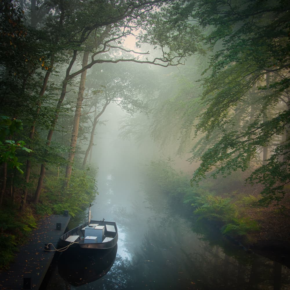Misty Forest Canal by Piet Haaksma — canvas wall art
