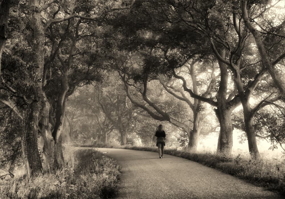 Lone Walker Winding Path by Ria Groot Zevert — canvas wall art