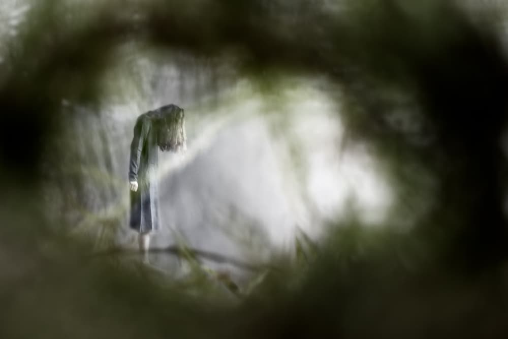 Misty Forest Figure by Mirjam Delrue — canvas wall art