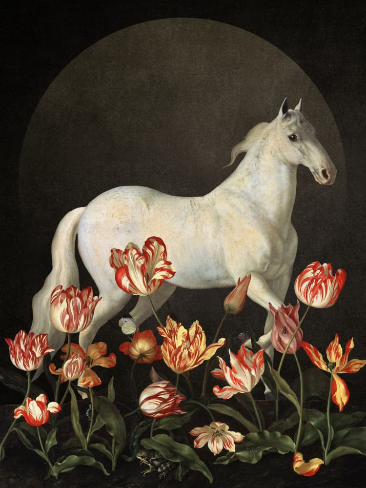 White Horse in Bloom