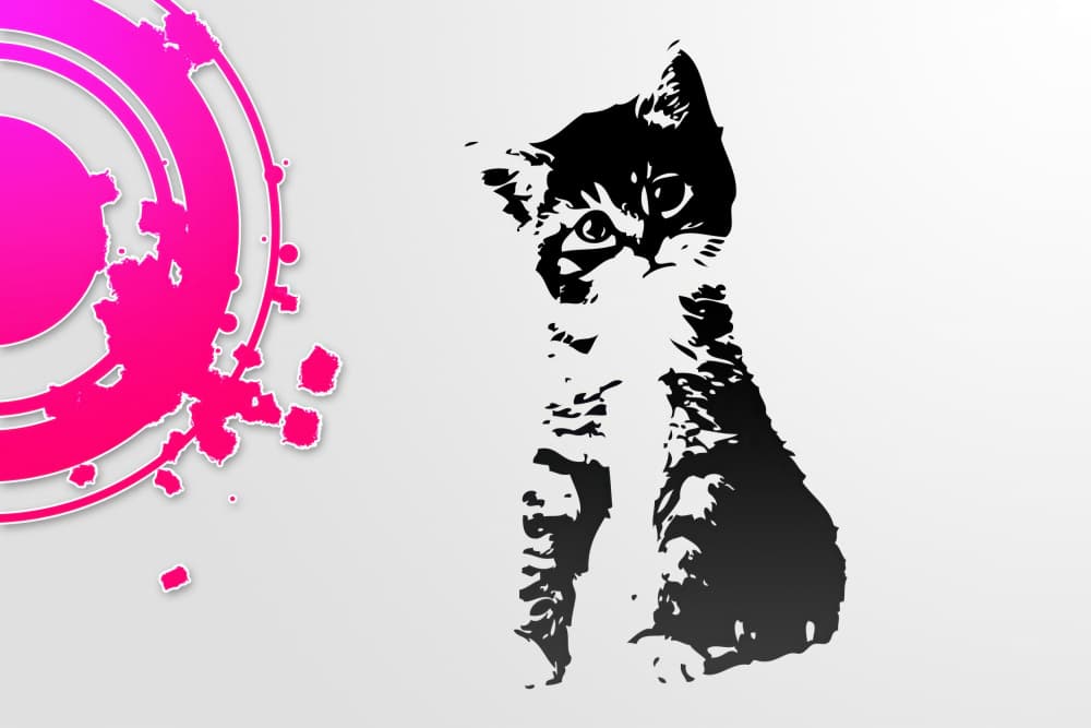 Pink Splash Kitten by Rafal Kulik — canvas wall art