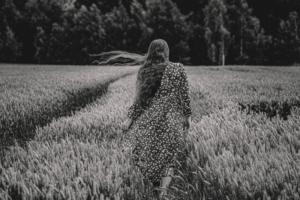 Serene Wheat Field Walk by Dzintra Zvagina — canvas wall art