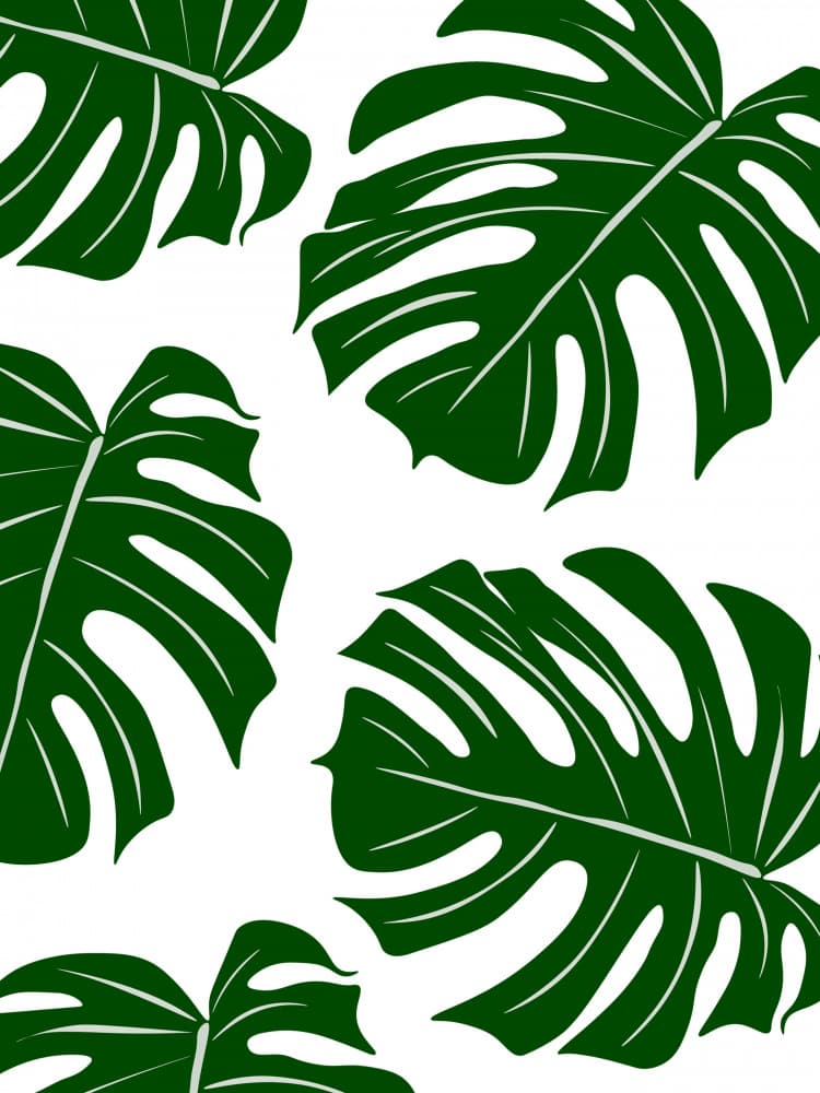 Lush Monstera Pattern by Elizabeth C — canvas wall art