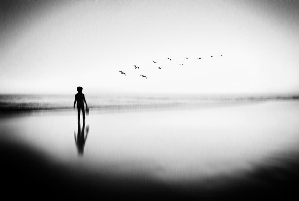 Child and Birds Beach by Florentinus Joseph — canvas wall art