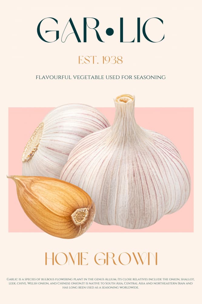 Fresh Home Grown Garlic by Nazma Khokhar — canvas wall art