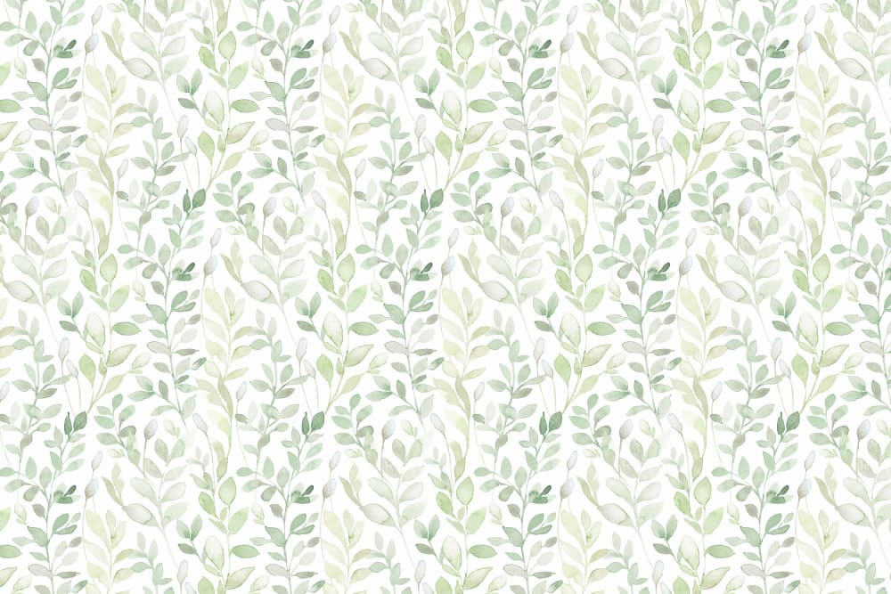 Delicate Green Foliage by Lovorka Pavic — canvas wall art