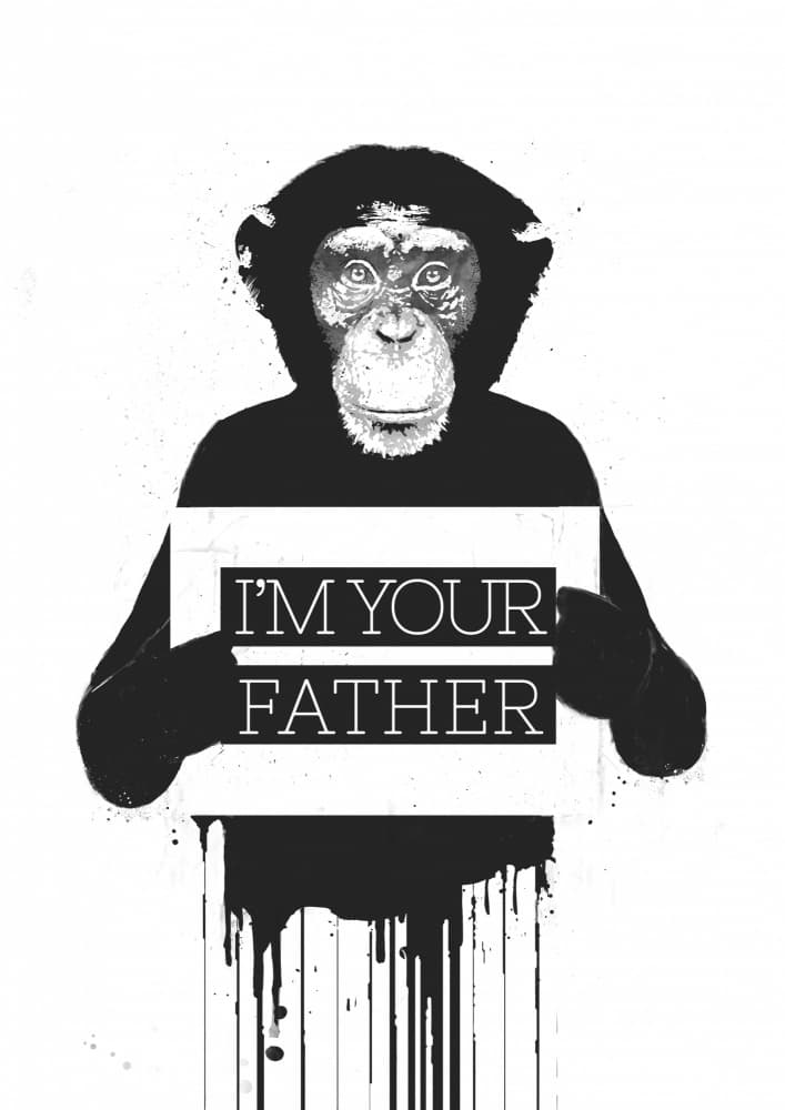 Funny Primate Dad by Balazs Solti — canvas wall art