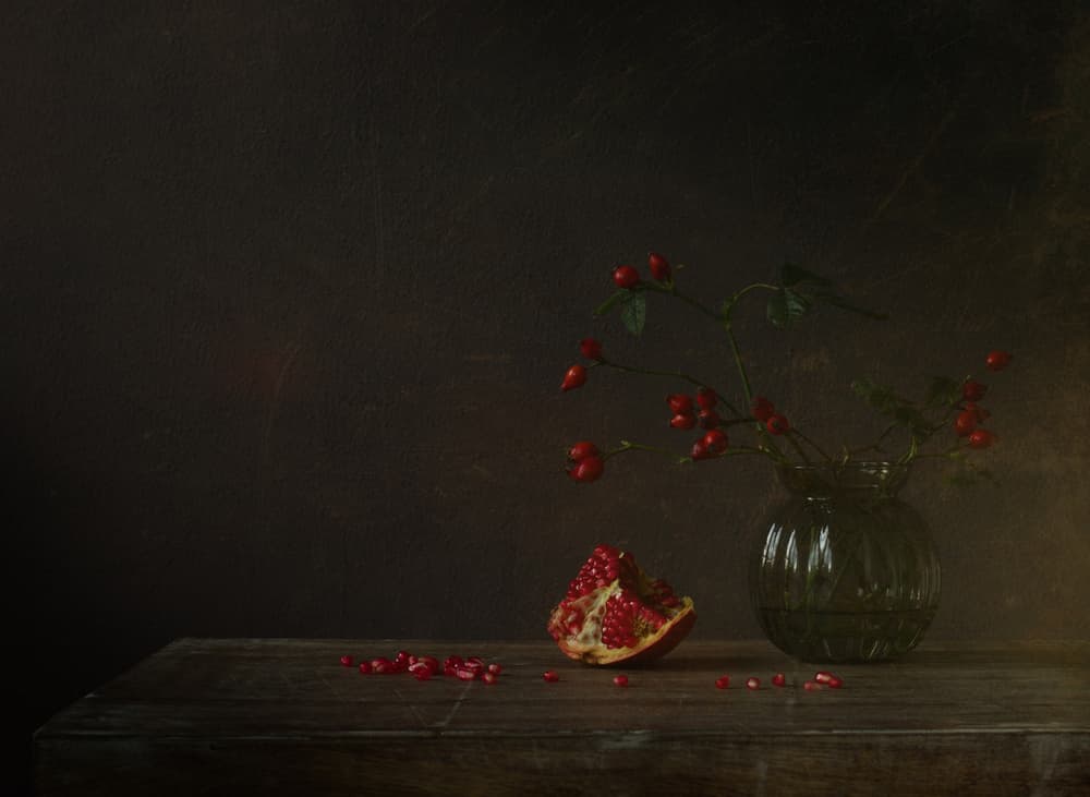 Pomegranate And Rosehips by Galina Bunkova — canvas wall art