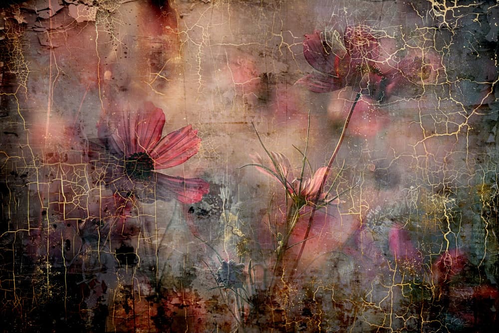 Dreamy Cosmos Blooms by Rafal Kulik — canvas wall art