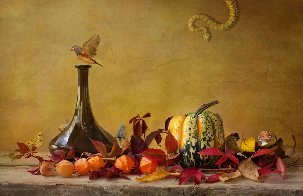 Rustic Autumn Still Life by Alida van Zaane — canvas wall art