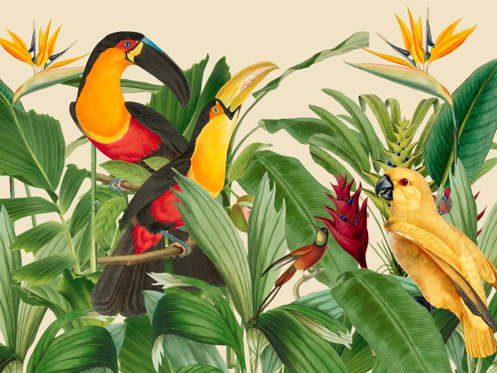Exotic Rainforest Birds by Andrea Haase — canvas wall art