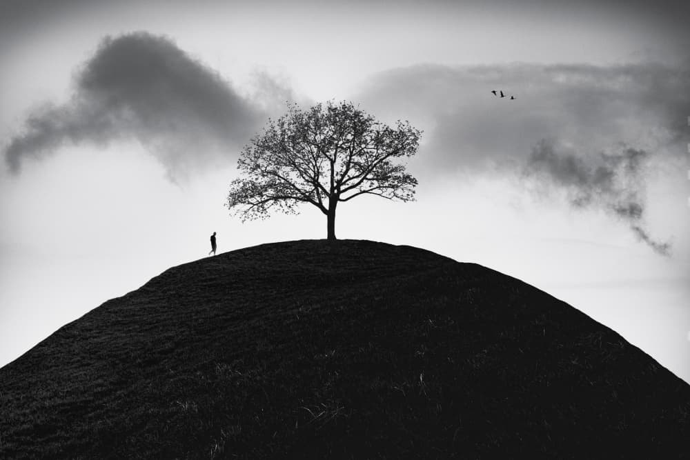 Lone Tree On Hill by Marchevca Bogdan — canvas wall art