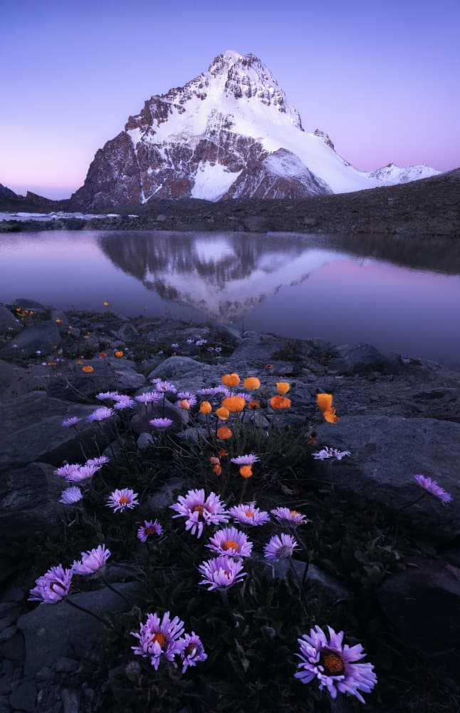 Twilight Mountain Reflection Flowers by Damon Hao — canvas wall art