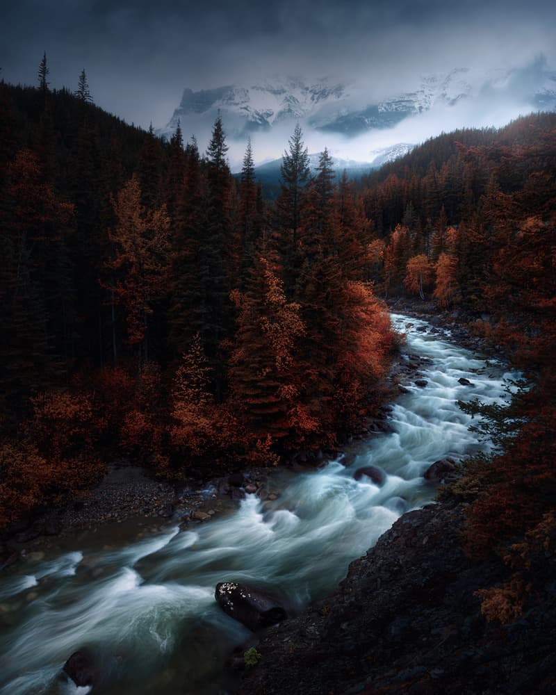 Wild River Autumn Forest by Juan Pablo de Miguel — canvas wall art