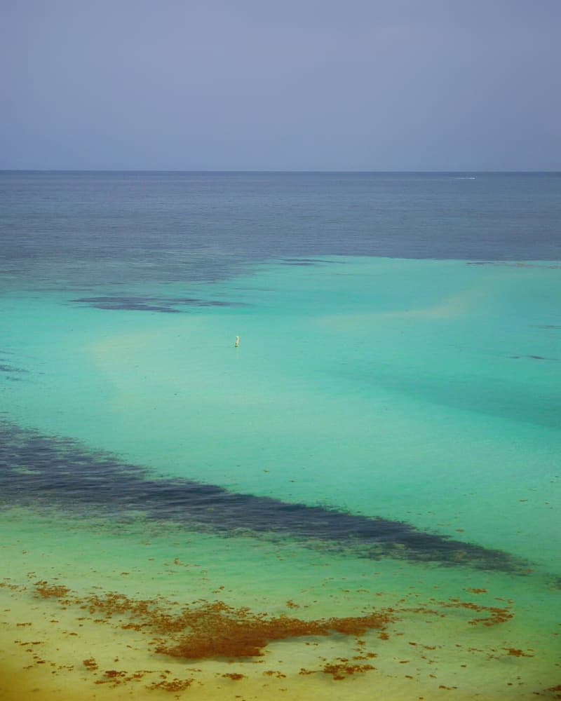 Turquoise Tropical Ocean by Del Mundo Portraits — canvas wall art