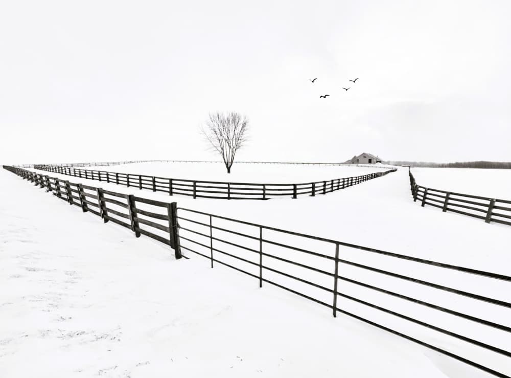 Snowy Winter Field Fences by Jasmine Zhang — canvas wall art