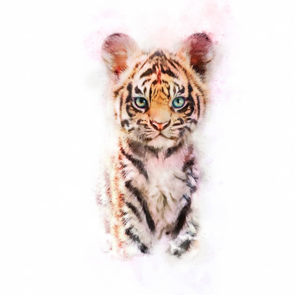 Untitled by Emel Tunaboylu — canvas wall art