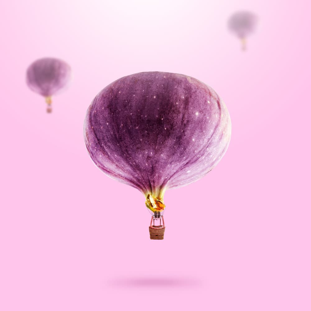 Purple Fig Balloon by Artem Pozdniakov — canvas wall art