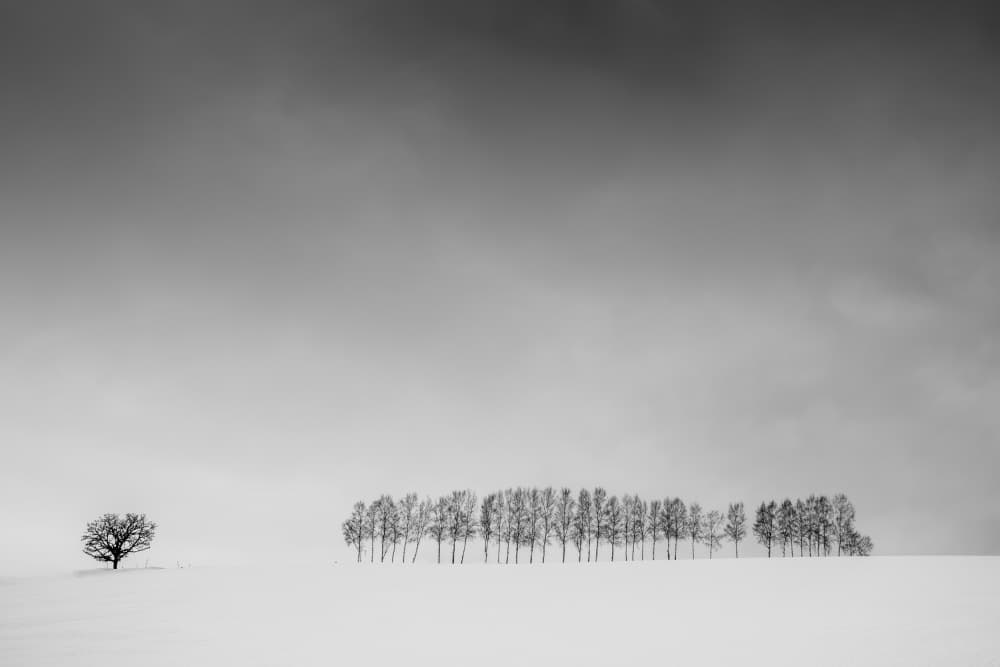 Stark Winter Landscape by Robert Bolton — canvas wall art
