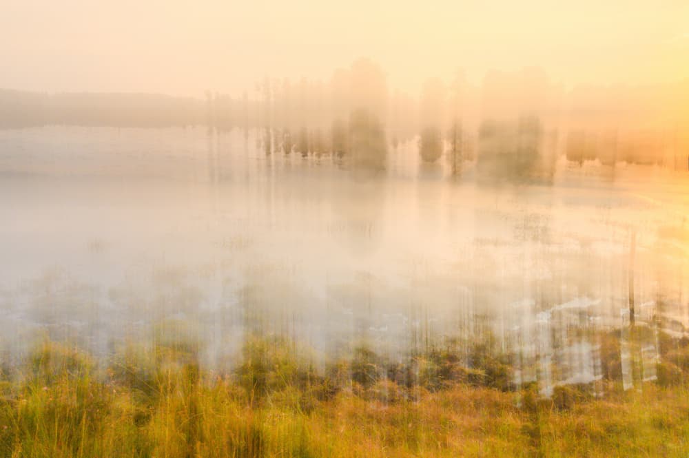 Dreamy Golden Landscape by Ina Bouhuijzen — canvas wall art