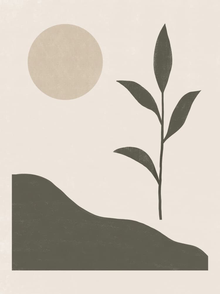 Desert Sun Botanical by Little Dean — canvas wall art