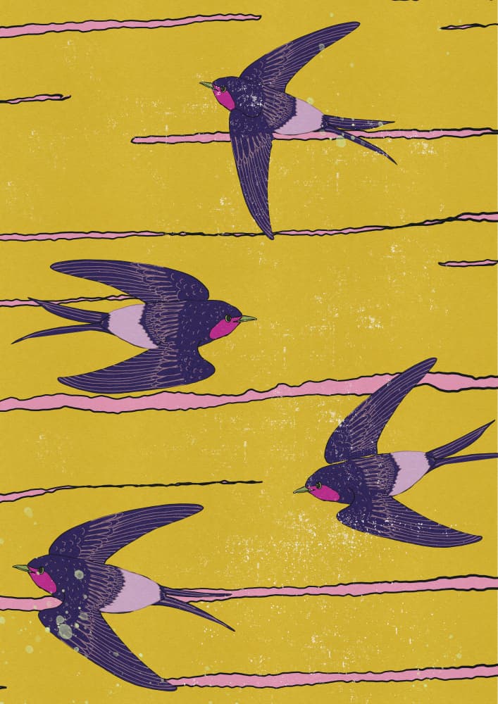 Vibrant Swallows In Flight by Nicholas — canvas wall art