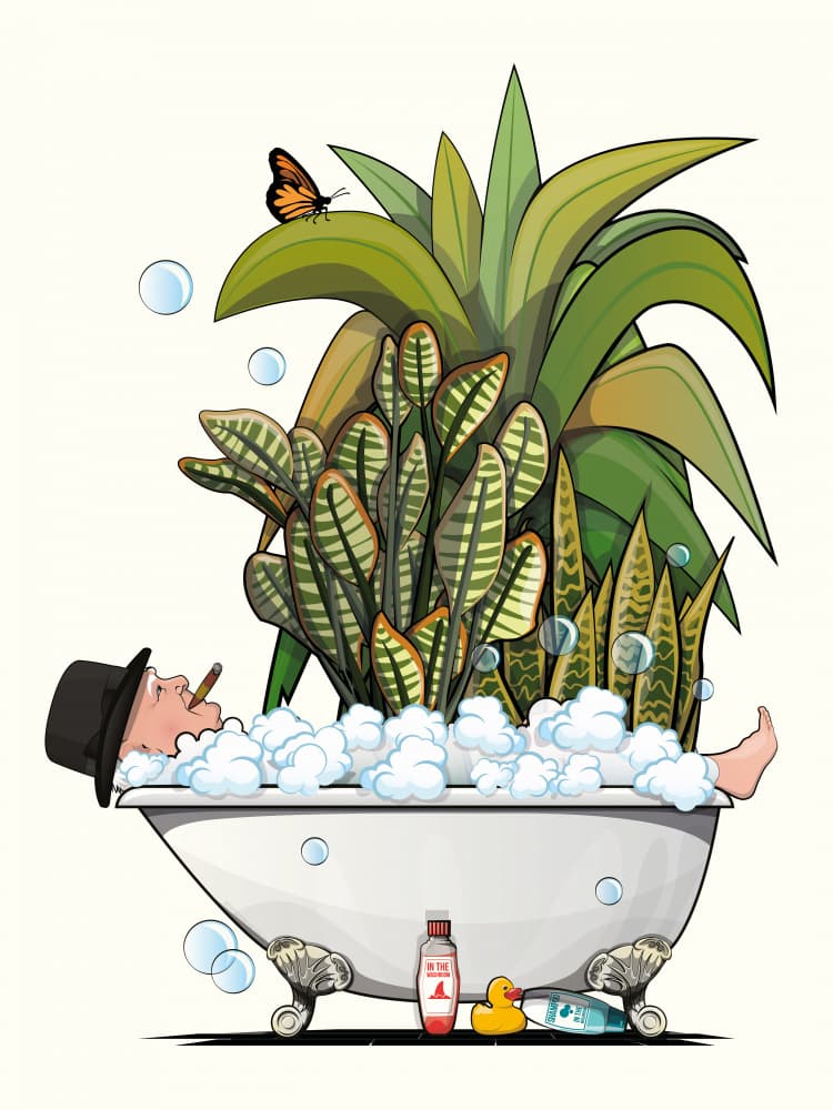 Tropical Bath Retreat by In The Washroom — canvas wall art