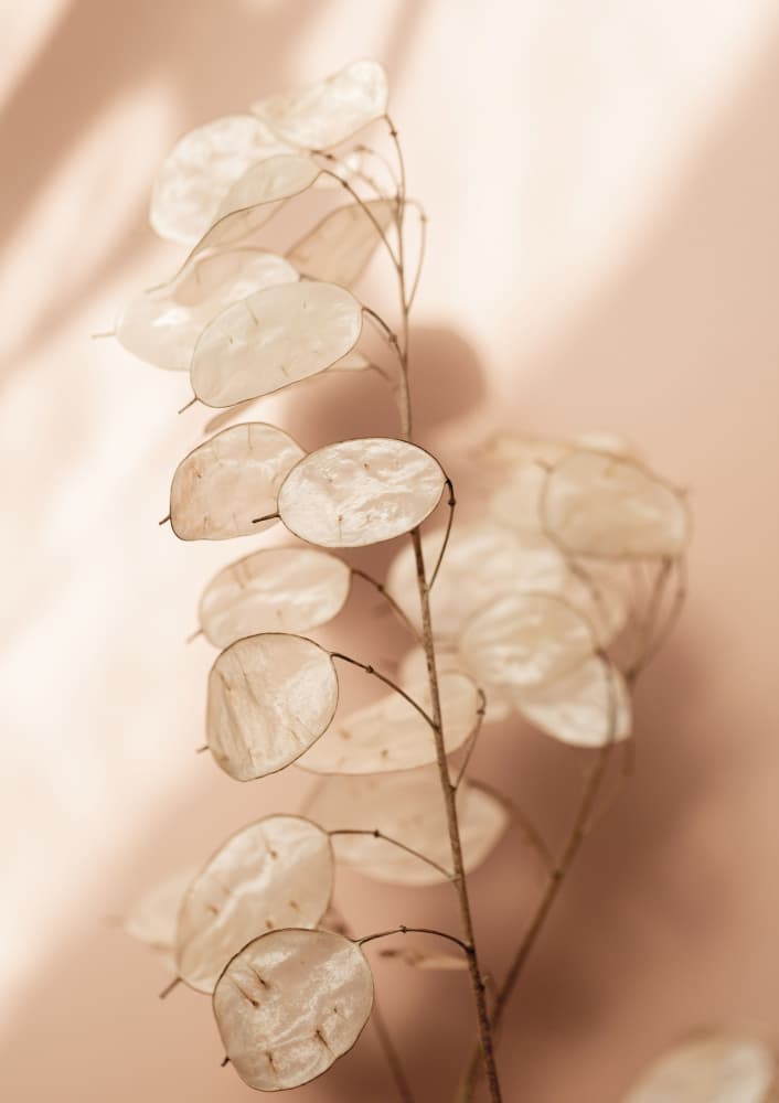 Last Summer 12 by Mareike Böhmer — canvas wall art