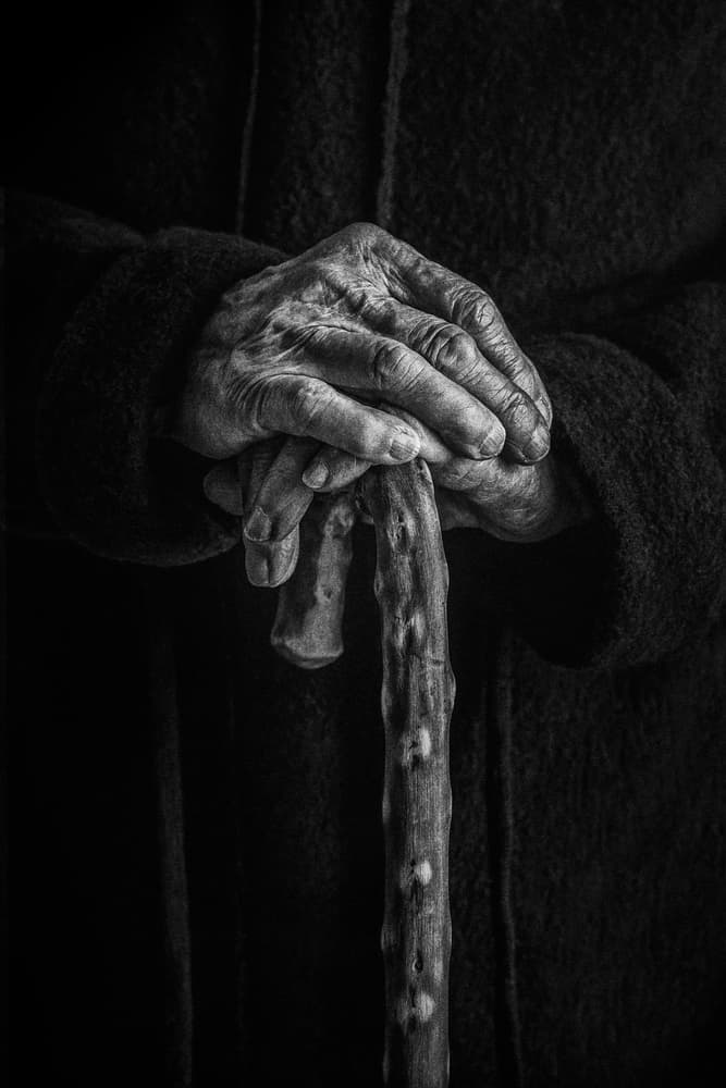 Aged Hands Hold Cane by Stephen Clough — canvas wall art