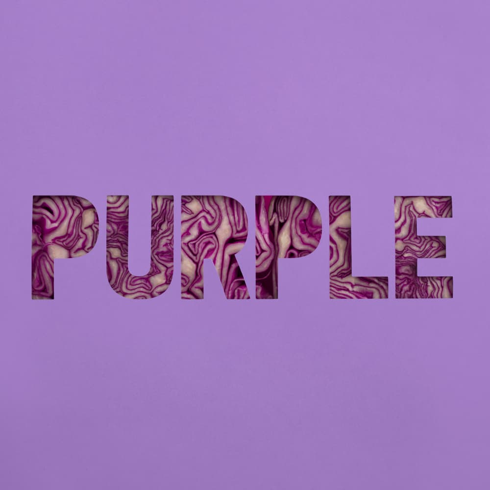 Purple Cabbage Text by Julia Ramiro — canvas wall art