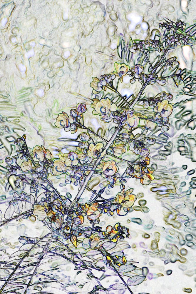 Delicate Floral Sketch by Santhosh ch — canvas wall art