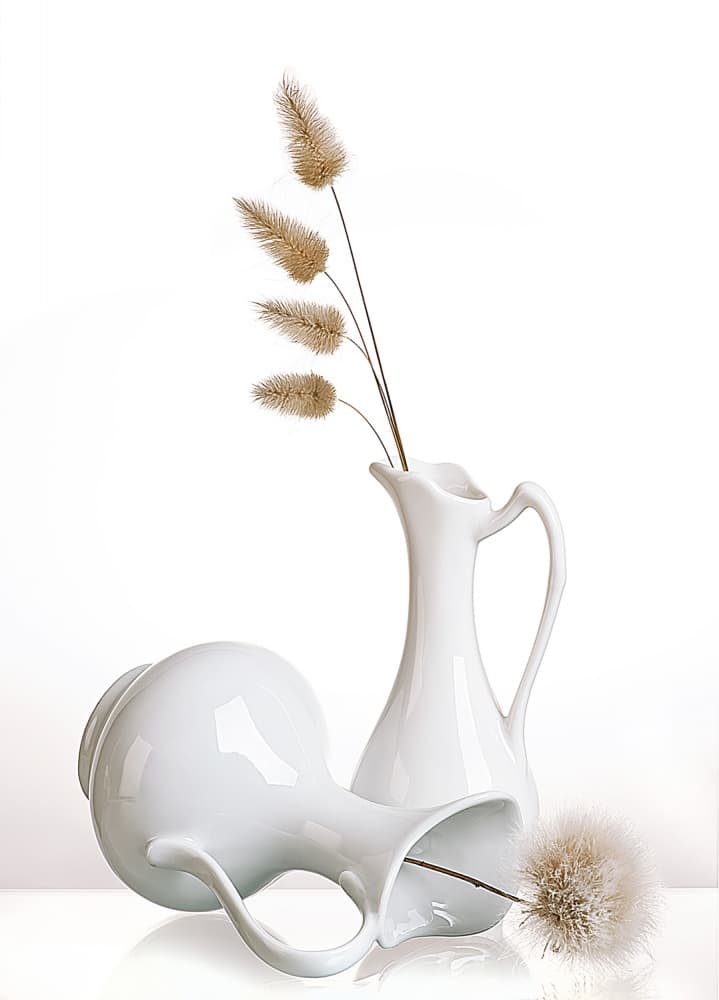 White by Aida Ianeva — canvas wall art