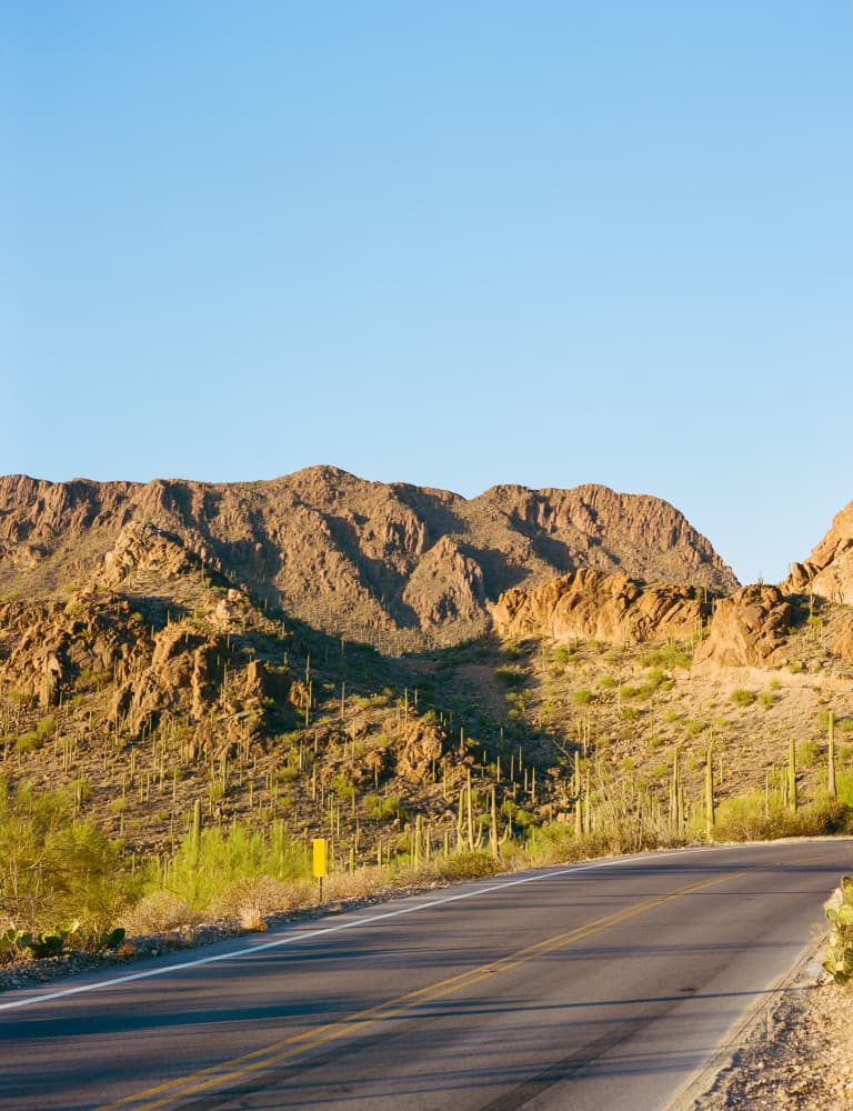 Sunny Desert Mountain Road by Bethany Young — canvas wall art