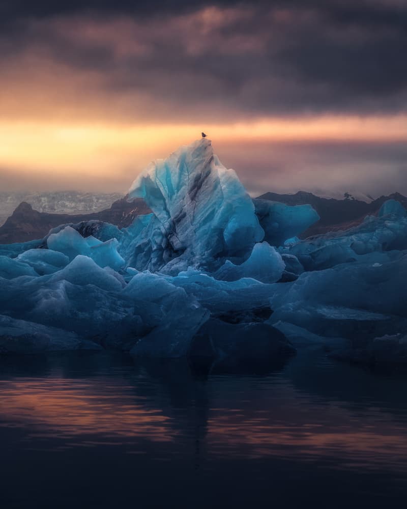 Bird on Glowing Iceberg by David George — canvas wall art