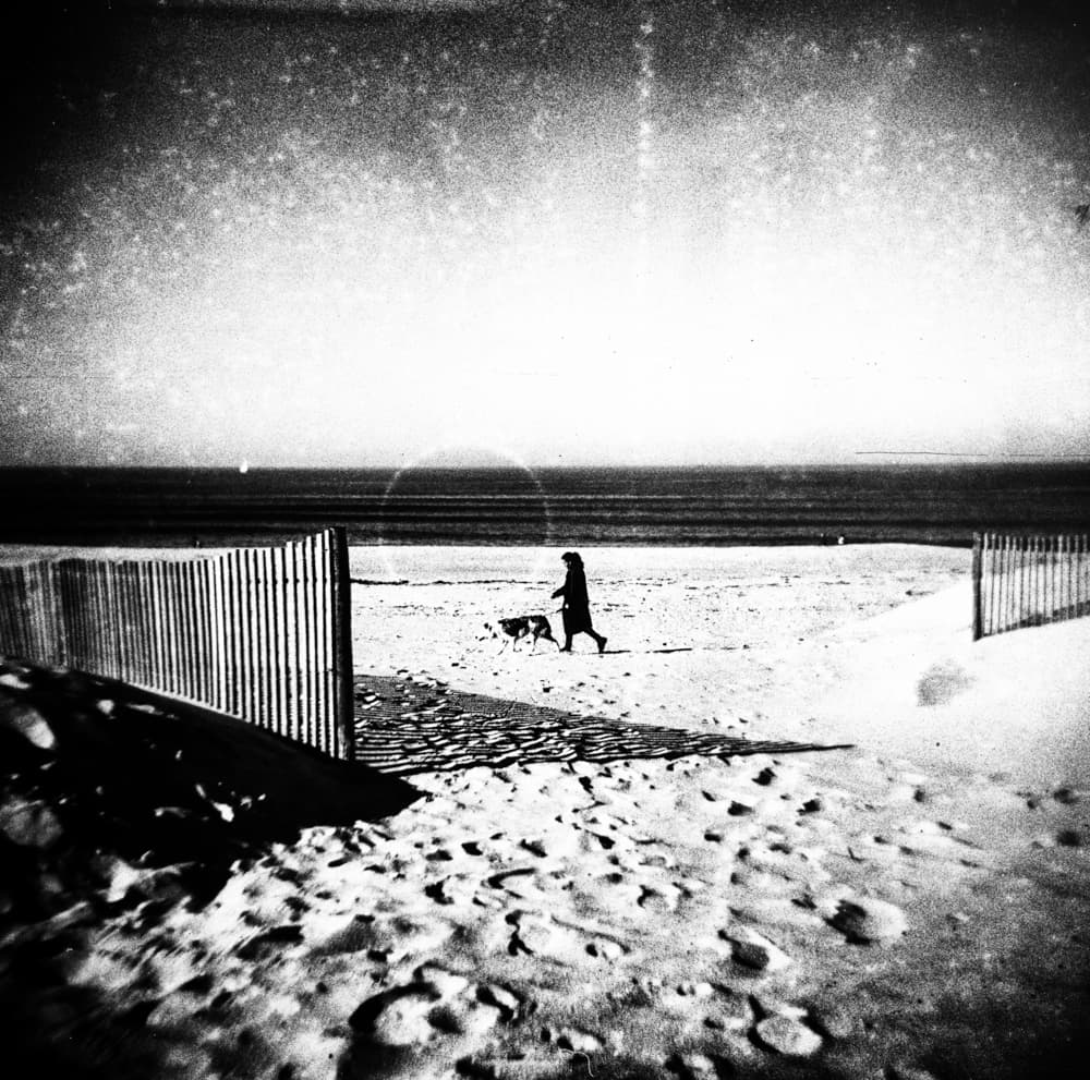 Solitary Beach Stroll by Rui Correia — canvas wall art