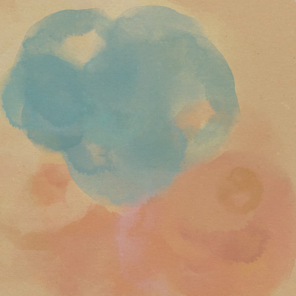 Soft Blue Peach Shapes by Dina Dankers — canvas wall art