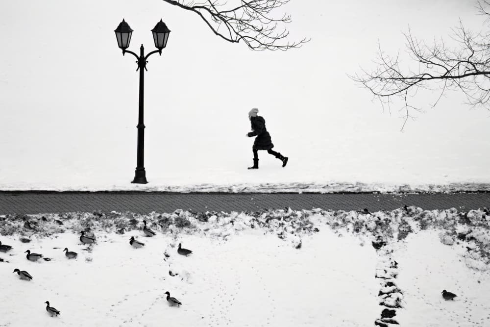 Running in Snow by Dan Mărășescu — canvas wall art
