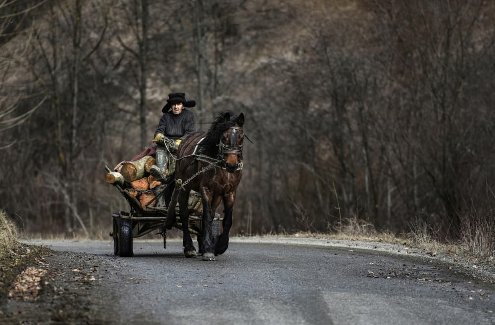 Rustic Horse Cart Journey by Irene Perovich — canvas wall art