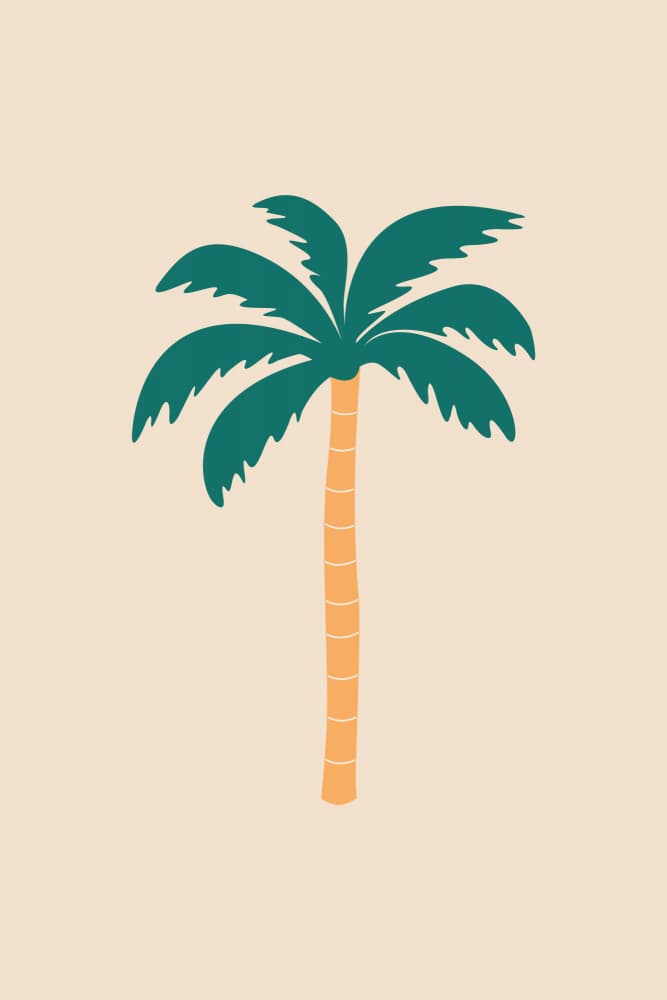 Tropical Palm Tree by Karen Menzenbach — canvas wall art