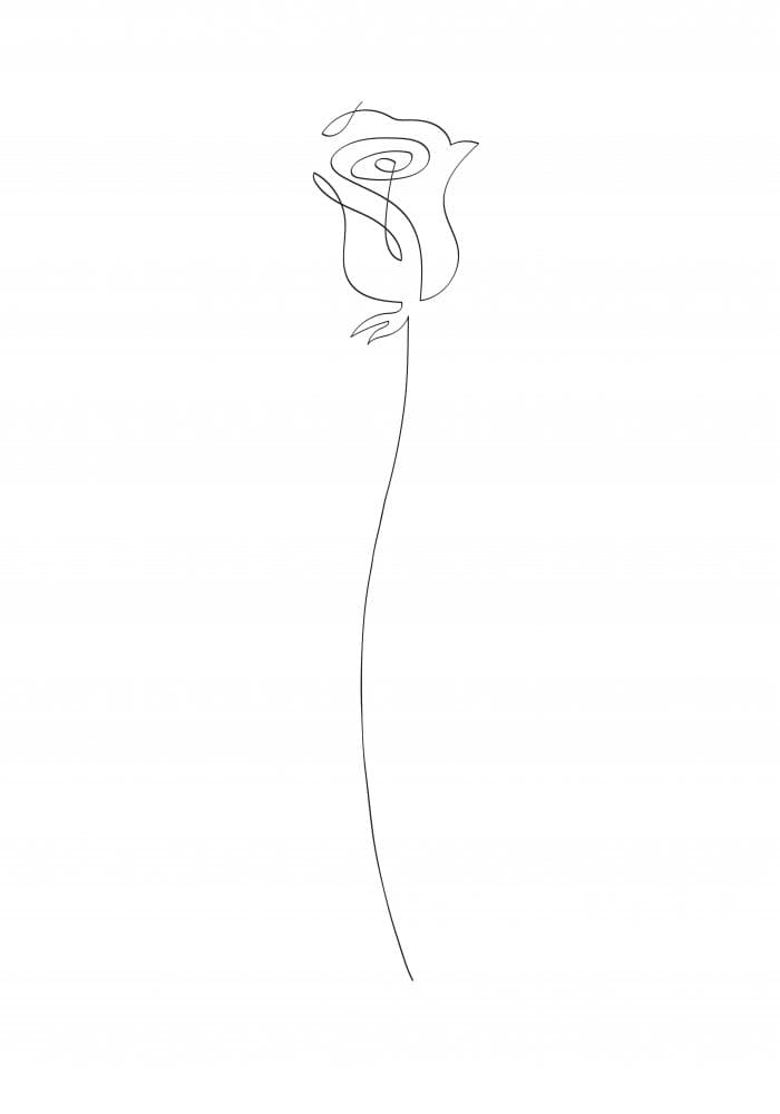 Elegant Rose Line Art by Pictufy Studio II — canvas wall art