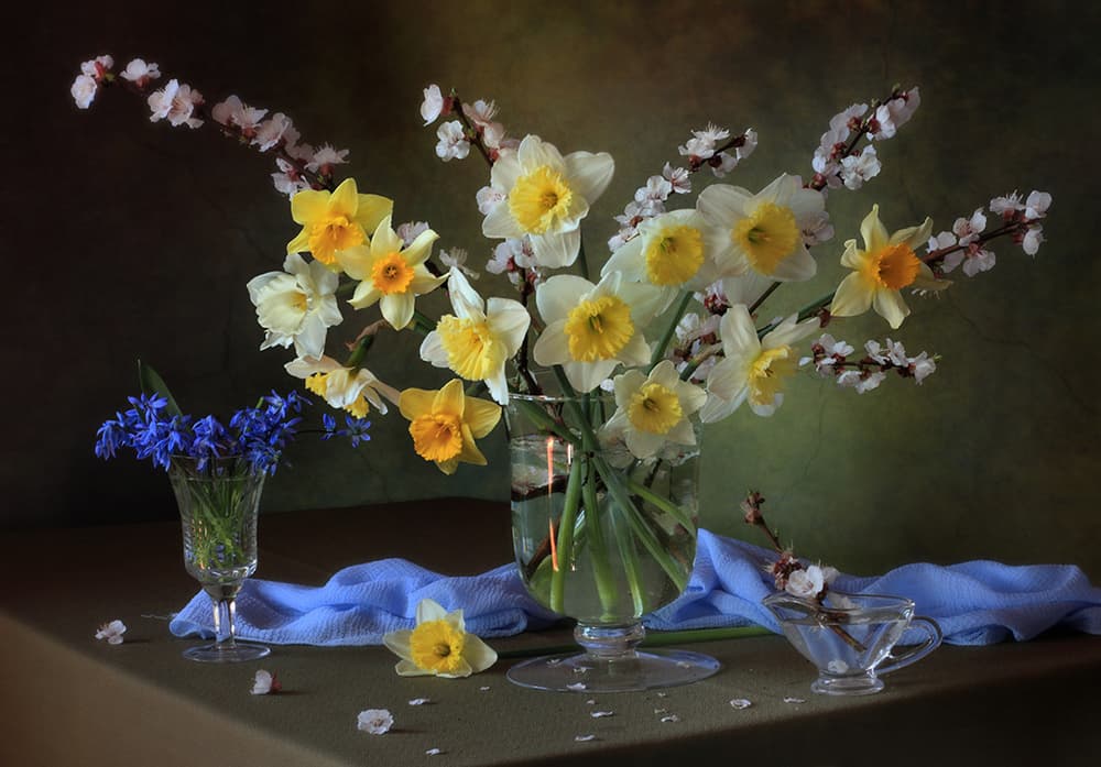 Spring Daffodil Arrangement by Tatyana Skorokhod — canvas wall art