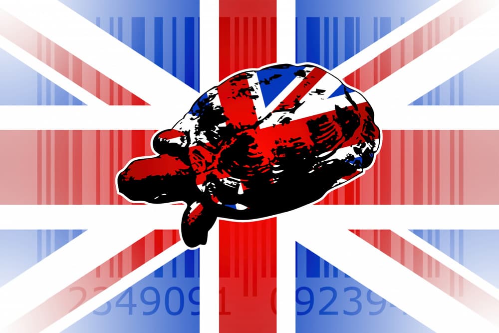 British Barcode Brain by Rafal Kulik — canvas wall art