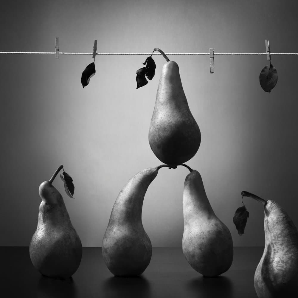 Pears in Balance by Victoria Glinka — canvas wall art