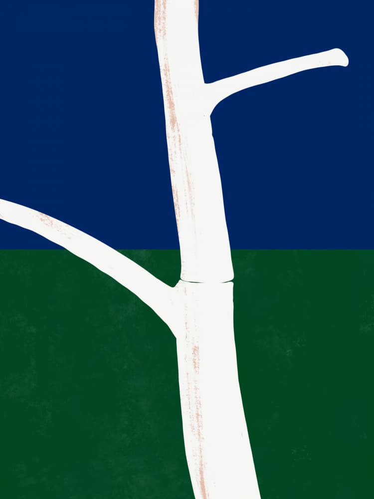 Minimalist White Tree by Little Dean — canvas wall art