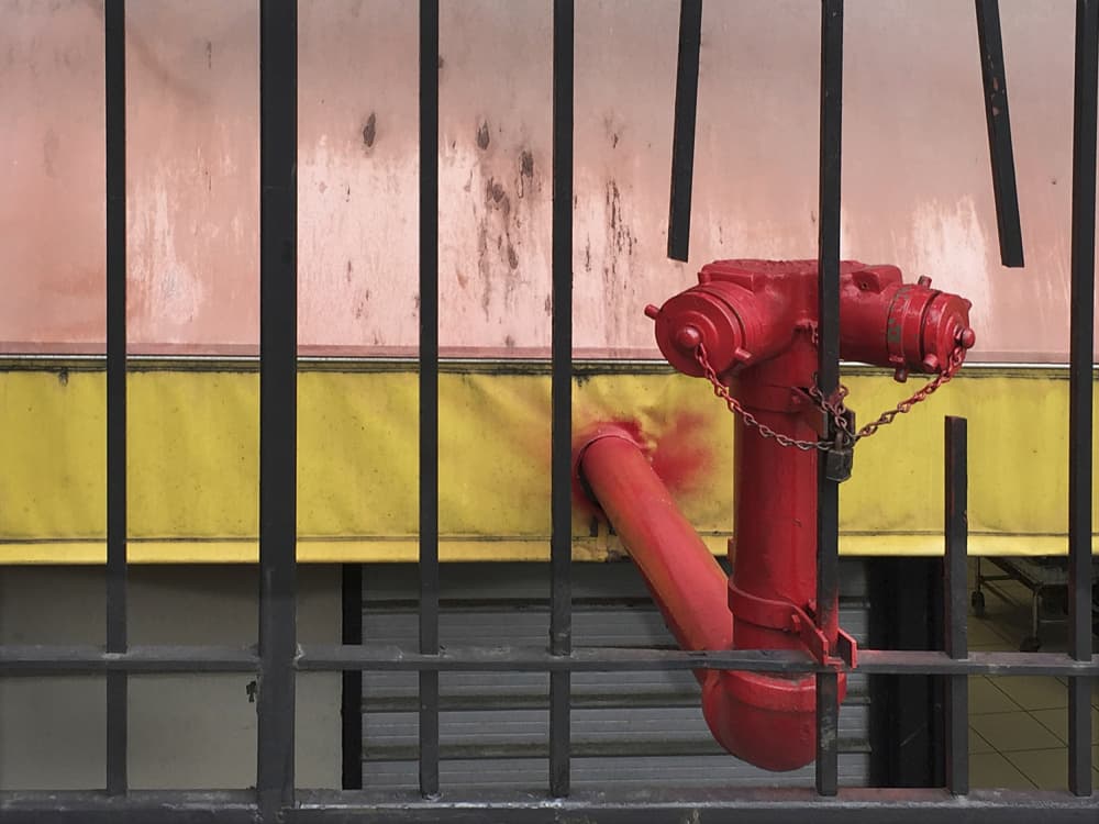 Red Hydrant Behind Bars by Mariuca Brancoveanu — canvas wall art