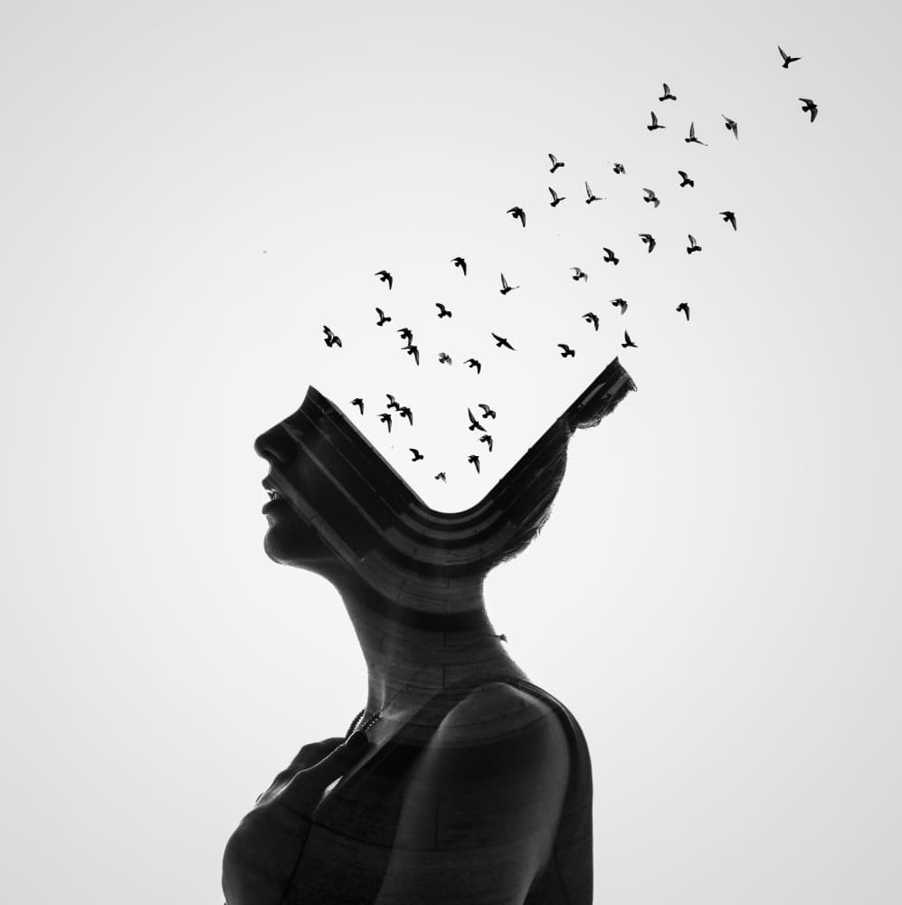 Imagination Takes Flight by Erkin Demir — canvas wall art